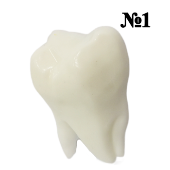 Подарочный набор «Стоматолог‑профи» (АКЦИЯ)