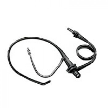 Эндоскопия Эндоскопия